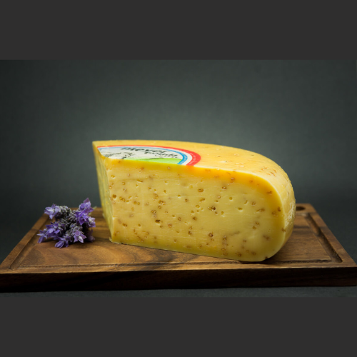 example of specialty stores